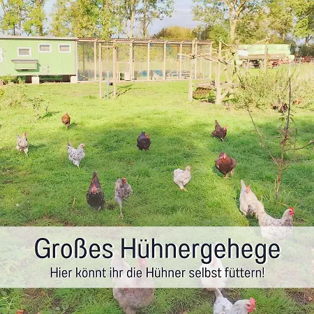 Holiday home Bio Wichtelweide - Lee - Mit Sauna *