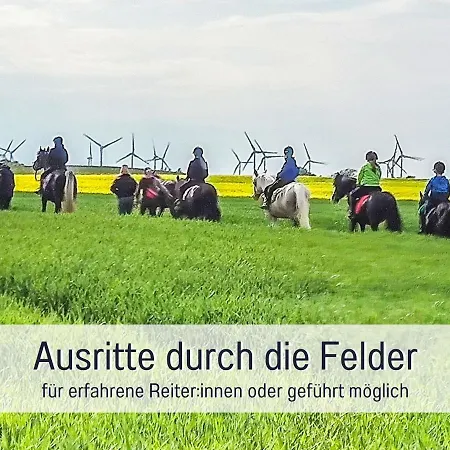 Bio Wichtelweide - Lee - Mit Sauna Holiday home Fehmarn