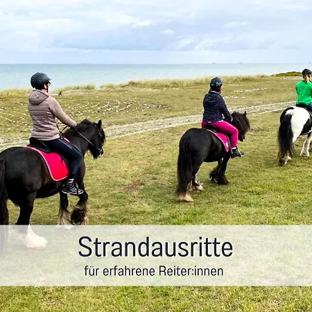 Bio Wichtelweide - Lee - Mit Sauna Fehmarn