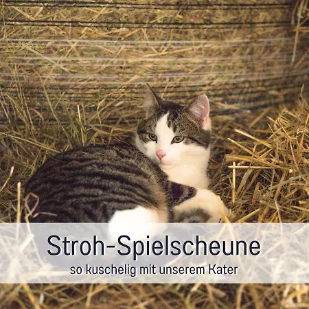 Bio Wichtelweide - Lee - Mit Sauna 別荘