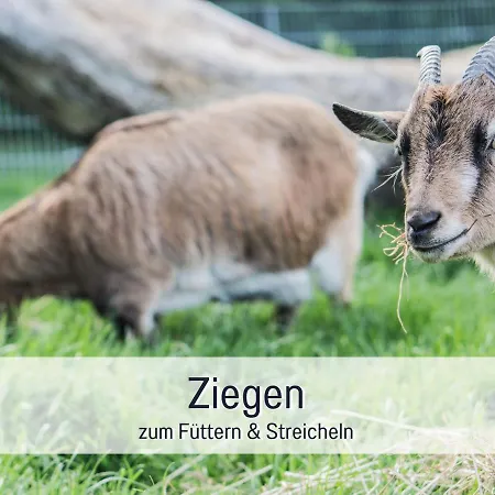 Bio Wichtelweide - Lee - Mit Sauna Fehmarn