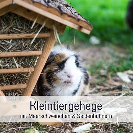 Bio Wichtelweide - Lee - Mit Sauna *