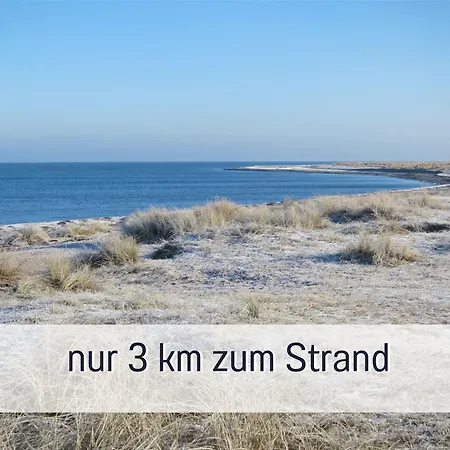 Holiday home Bio Wichtelweide - Lee - Mit Sauna *