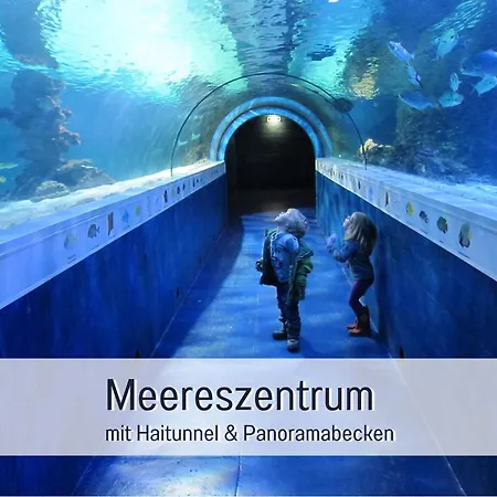 Bio Wichtelweide - Lee - Mit Sauna Holiday home Fehmarn