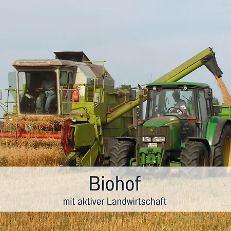 Bio Wichtelweide - Lee - Mit Sauna * フェーマルン