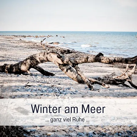 Holiday home Bio Wichtelweide - Lee - Mit Sauna *